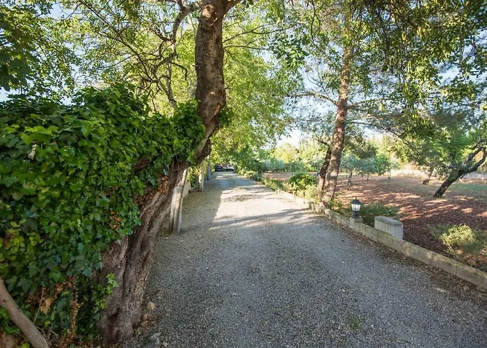 Cuixach - Stone Mallorcan In Pollença