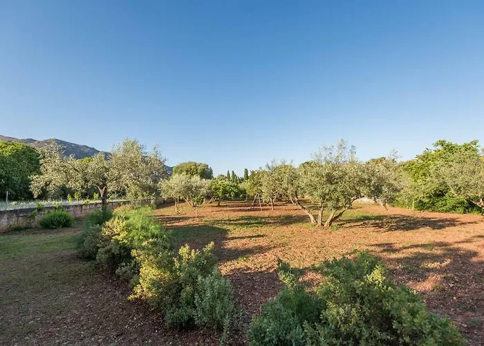 Cuixach - Stone Mallorcan In Hébergement de vacances