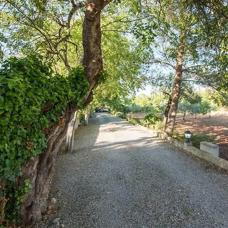 Cuixach - Stone Mallorcan In Pollença
