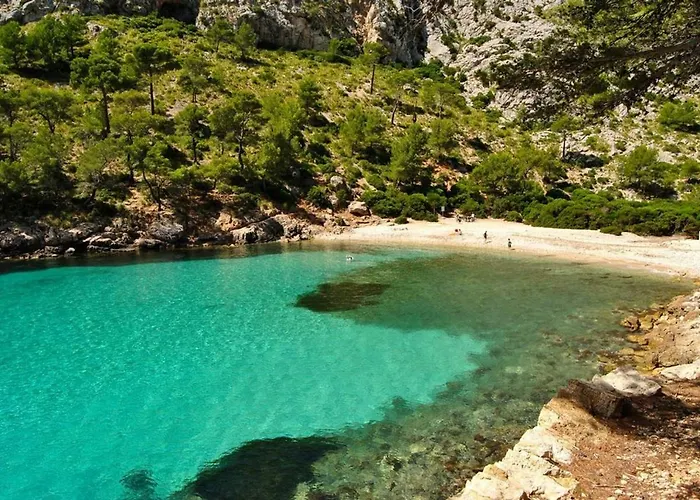 Cuixach - Stone Mallorcan In * Pollensa