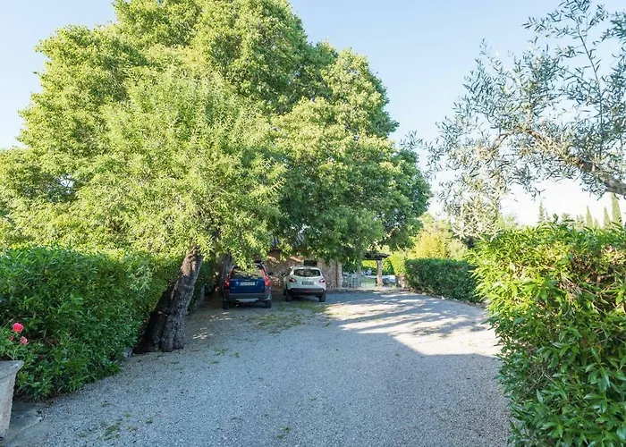 Cuixach - Stone Mallorcan In *